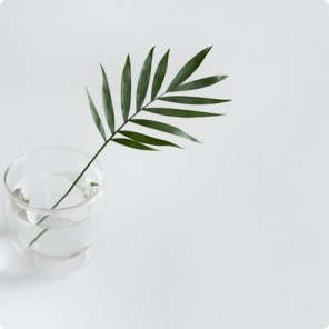 Tokoplas Ecommerce Indonesia