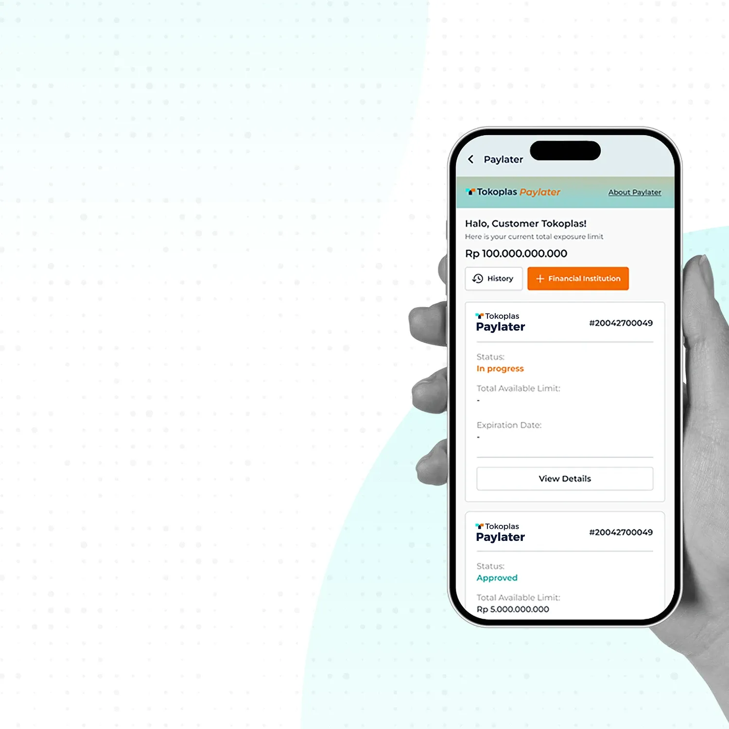 Tokoplas Paylater - Tokoplas Ecommerce Indonesia